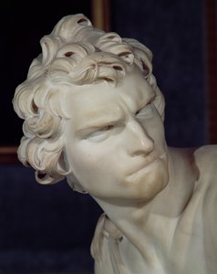 David, detail van het hoofd